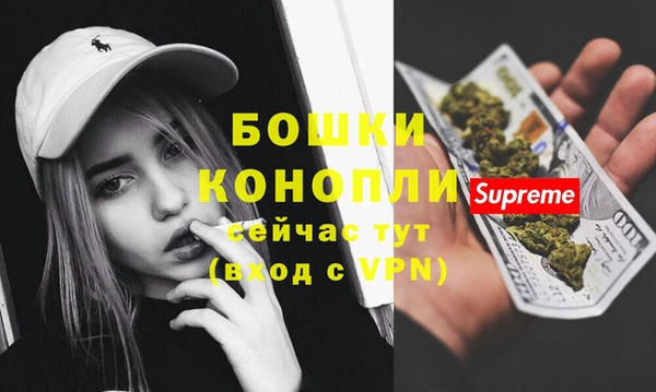 амф Ладушкин